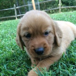 Meet your Posher, Mia